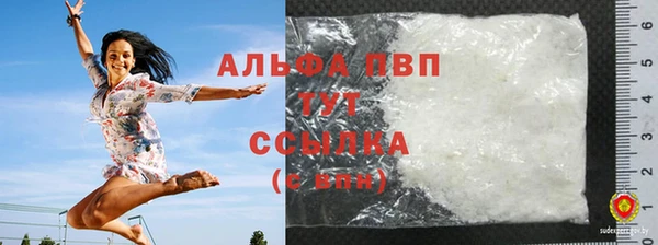 стаф Осинники