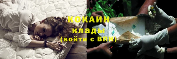 стаф Осинники