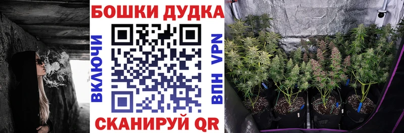 Купить закладки Хасавюрт Шишки марихуана VHQ